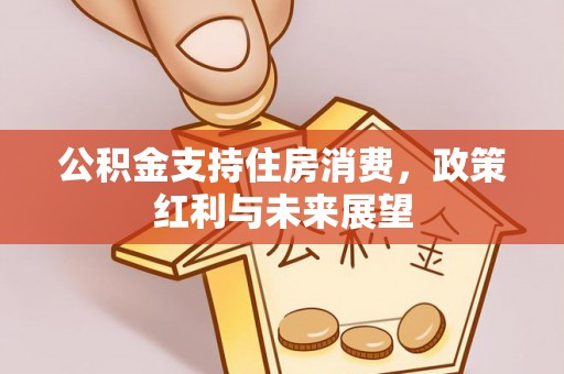 明港公积金支持住房消费，政策红利与未来展望